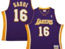 Pau Gasol Los Angeles Lakers  2009/10 Hardwood Classics Swingman Jersey - Purple