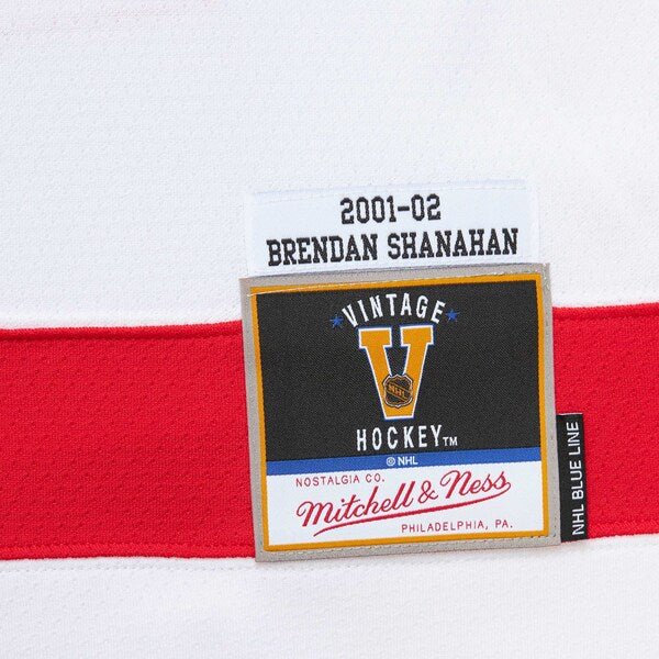 Brendan Shanahan Detroit Red Wings 2001/02 Alternate Captain Blue Line Player Jersey - White