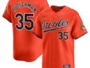 Adley Rutschman Baltimore Orioles Nike Alternate Limited Player Jersey – Orange