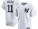Anthony Volpe New York Yankees Nike Youth Home Limited Player Jersey - White