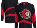 Ottawa Senators adidas Reverse Retro 2.0 Authentic Blank Jersey - Black