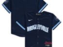 Chicago Cubs Nike Preschool MLB City Connect Replica Team Jersey - Navy