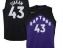 Pascal Siakam Toronto Raptors Nike Youth 2020/21 Swingman Player Jersey Black/Purple - Earned Edition