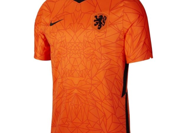 Netherlands National Team Nike 2020/21 Home Replica Jersey - Orange