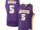 Robert Horry Los Angeles Lakers 1999/00 Hardwood Classics Swingman Jersey - Purple