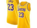LeBron James Los Angeles Lakers Nike Authentic Jersey - Icon Edition - Gold