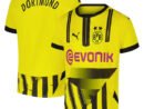 Borussia Dortmund Puma Youth 2024/25 Cup Replica Jersey - Yellow